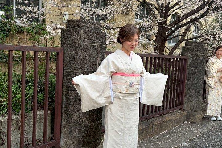 京都二条城近くで着物レンタル＆スタイリング体験