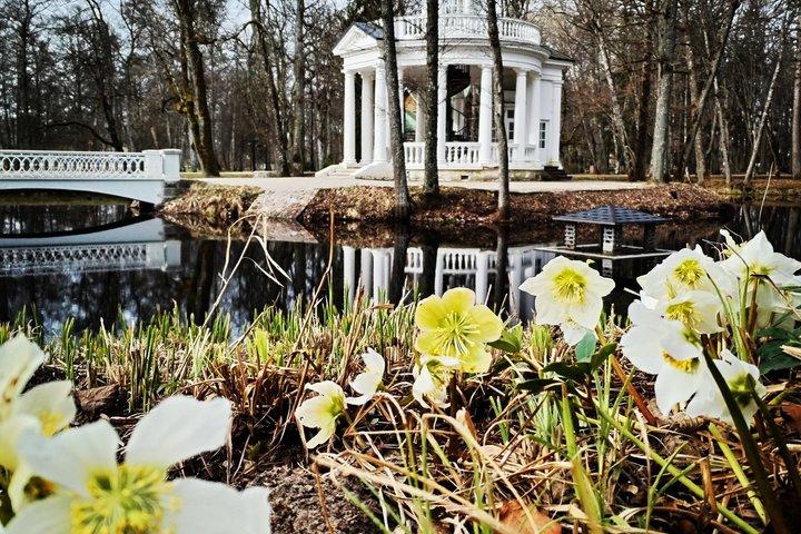 Sea Resort Jurmala nær Riga Private Tour