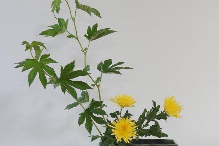 Zeitgenössischer Ikebana-Kunstworkshop im Ganko Ji Temple Studio