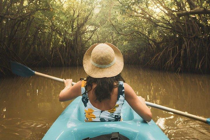 Tour en kayak por la laguna desde Negombo