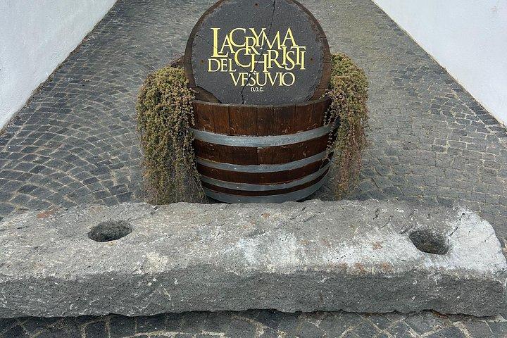 ローマ発ポンペイ日帰り旅行（ワインと料理の試食付き）