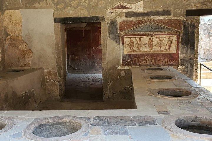 ローマ発ポンペイ日帰り旅行（ワインと料理の試食付き）