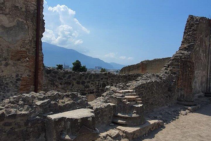 ローマ発ポンペイ日帰り旅行（ワインと料理の試食付き）