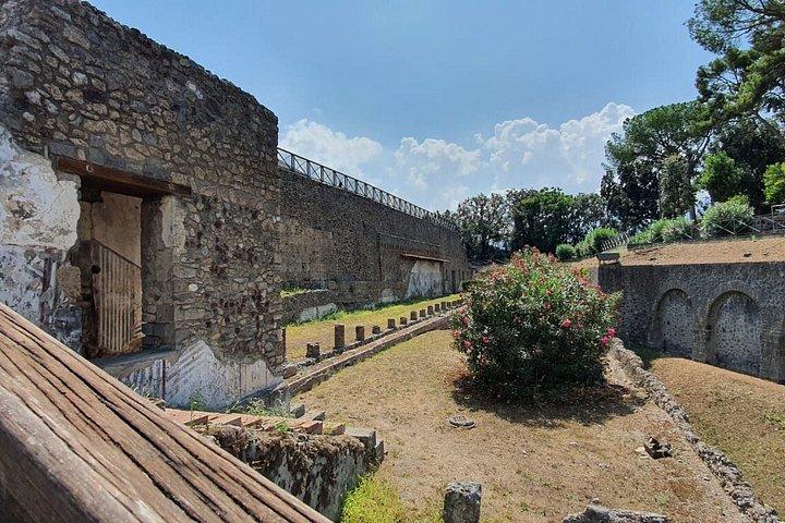ローマ発ポンペイ日帰り旅行（ワインと料理の試食付き）