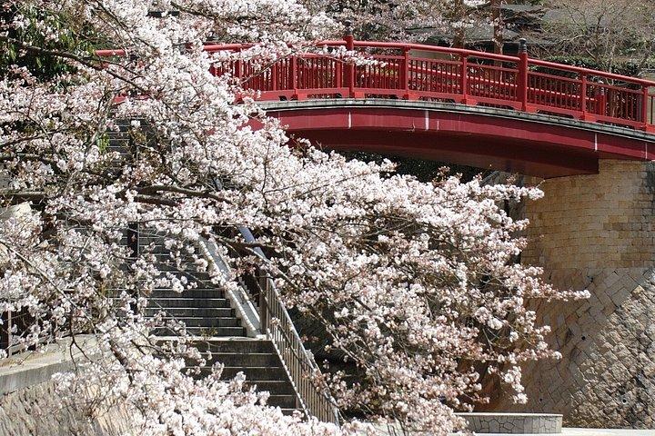 有馬温泉と六甲山観光付きプライベート神戸ツアー