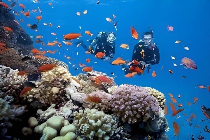チャム島ファンダイブダナン脱出