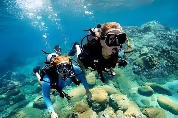 チャム島ファンダイブダナン脱出