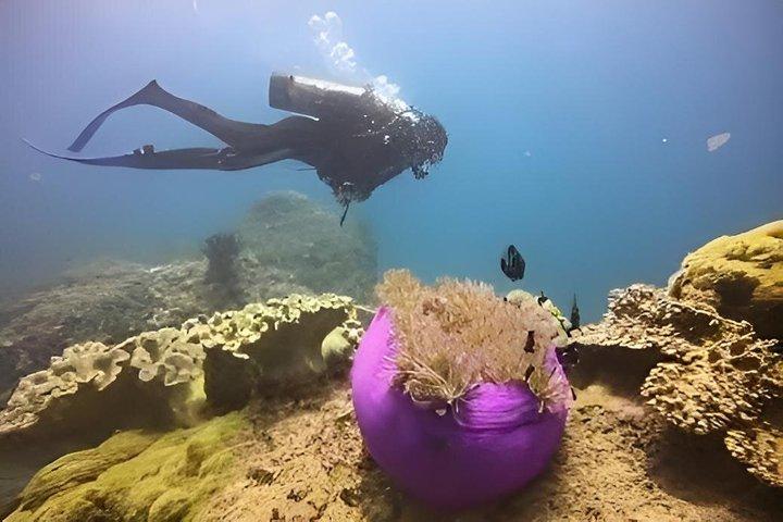 チャム島ファンダイブダナン脱出