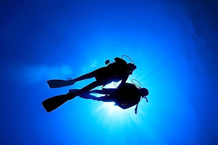 Cham Island Fun Dive Escape from Danang
