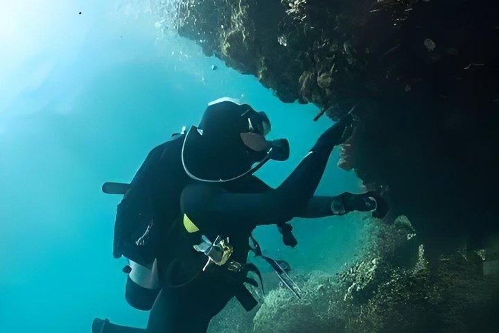 Cham Island Fun Dive Escape from Danang