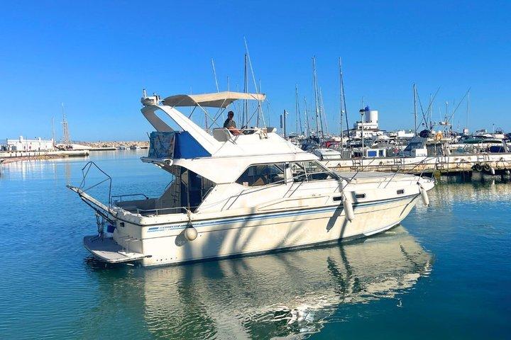 Eco-Dolphin Expedition in La Duquesa - Intimate Navigation and Cava