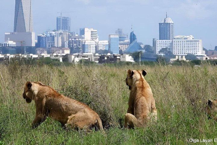 ナイロビ公園、ビーズ、キリン、フォゴガウチョ食べ歩き体験