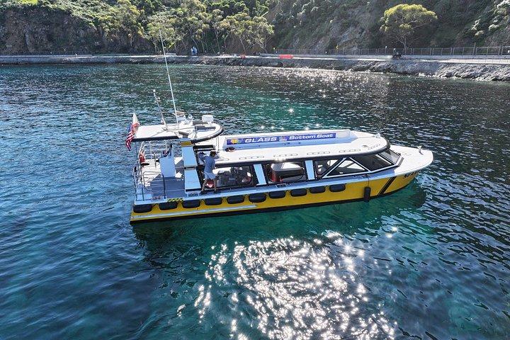 Catalina Island Ultimate Underwater and Coastal Adventure Cruise