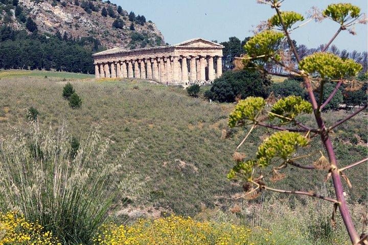 Day Trip from Palermo to Monreale and Segesta Small Group