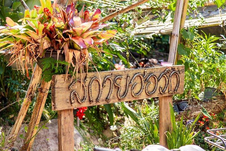 Sky Hawk Zipline Experience in Chiang Mai