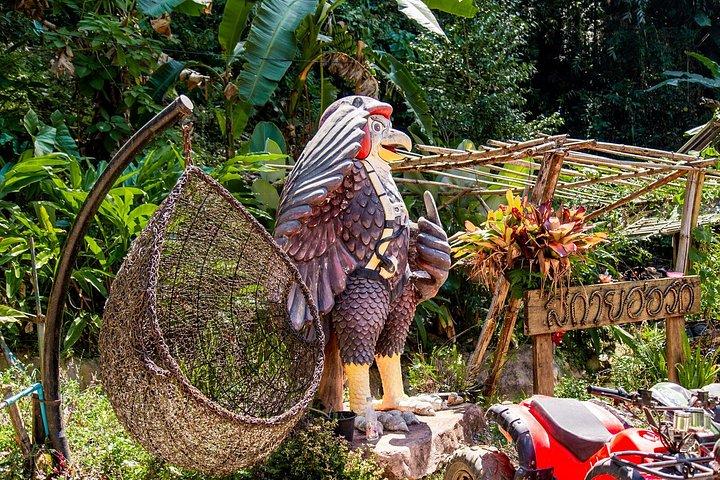 Sky Hawk Zipline Experience in Chiang Mai