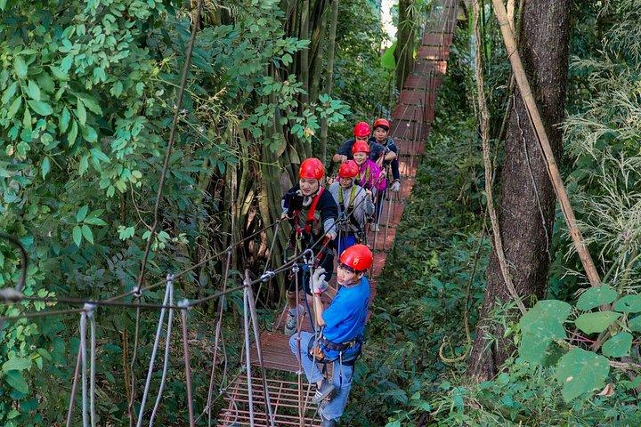 Sky Hawk Zipline Experience in Chiang Mai