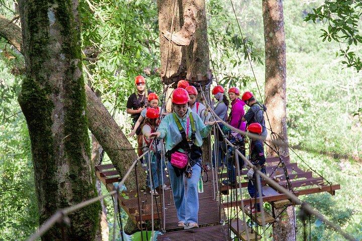 Sky Hawk Zipline Experience in Chiang Mai