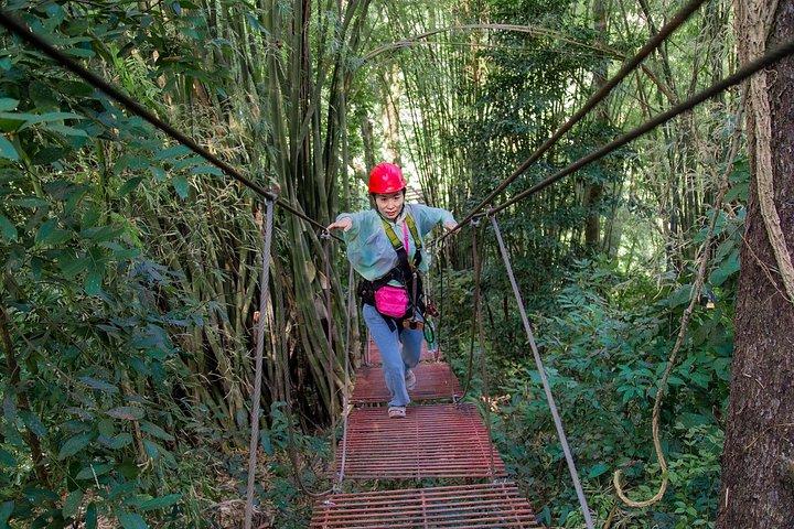 Sky Hawk Zipline Experience in Chiang Mai