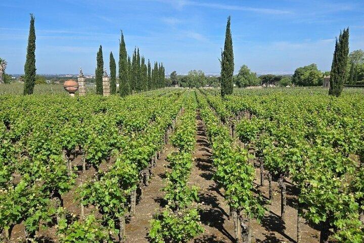 Private Tour mit Weinprobe mit regionalen Produkten und Besuch einer Fliesenfabrik.