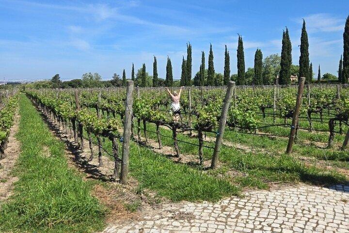 Private Tour mit Weinprobe mit regionalen Produkten und Besuch einer Fliesenfabrik.