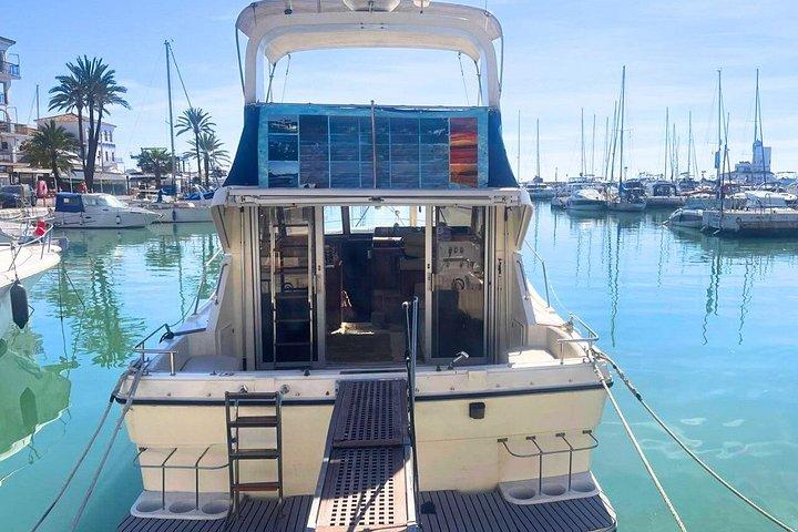 Eco-Dolphin Expedition in La Duquesa - Intimate Navigation and Cava