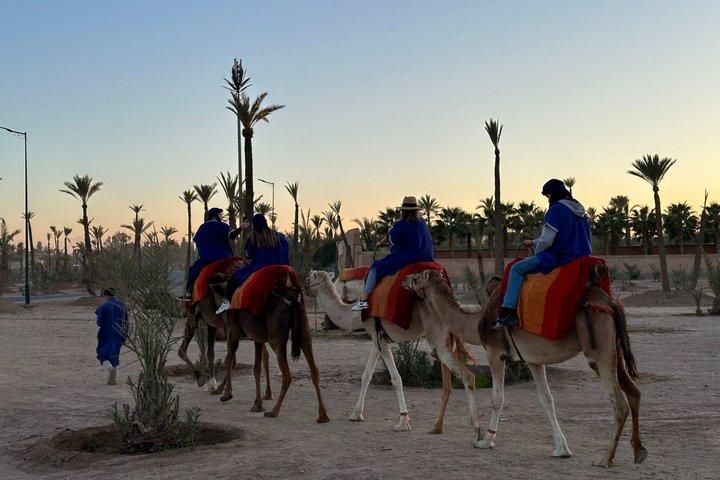 Camel Ride in Marrakech Palmeraie with Berber Tea