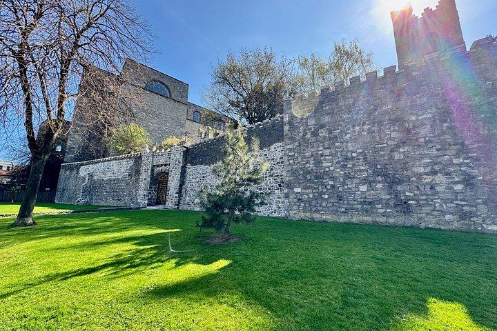 Walking Introduction to Dublin and Ireland