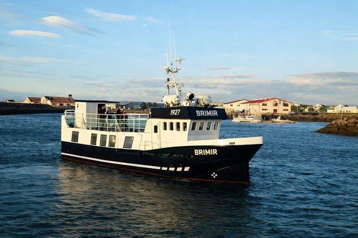 Bådtur med lille gruppe fra Akureyri til Hjalteyri