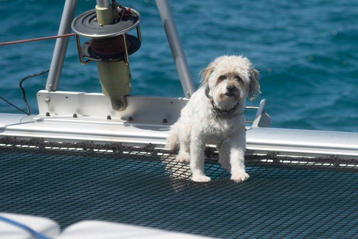 Private catamaran charter 4 hrs