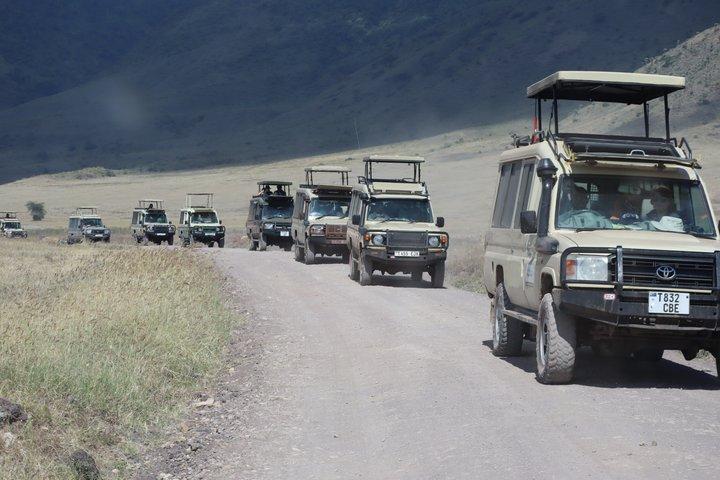 3 - Día Tanzania Safari : Manyara, Ngorongoro & Tarangire Big 5