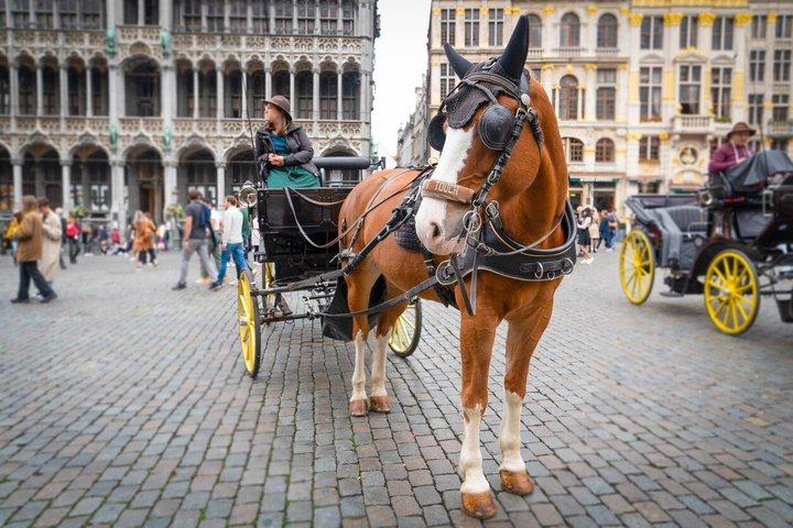 Brussels Highlights and Secrets : Visite privée avec arrêt bière