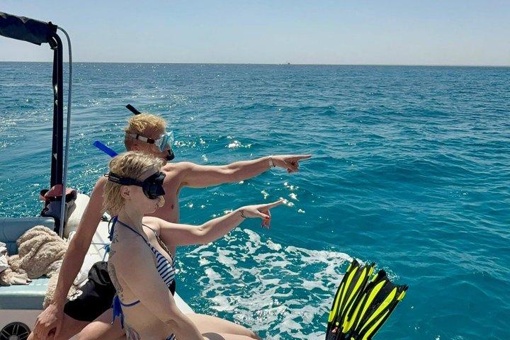 プライベートスピードボートツアー：イルカと泳ぐ、シュノーケリング－フルガダ