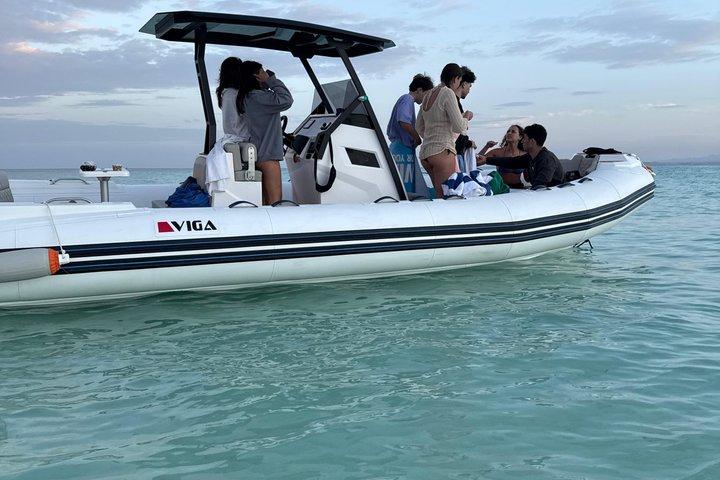 プライベートスピードボートツアー：イルカと泳ぐ、シュノーケリング－フルガダ