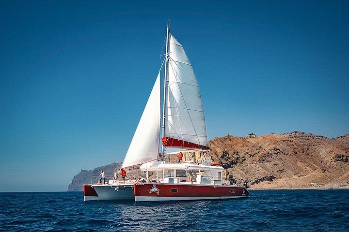 Premium Catamaran Tour from Puerto Rico