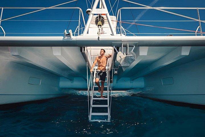Premium Catamaran Tour from Puerto Rico