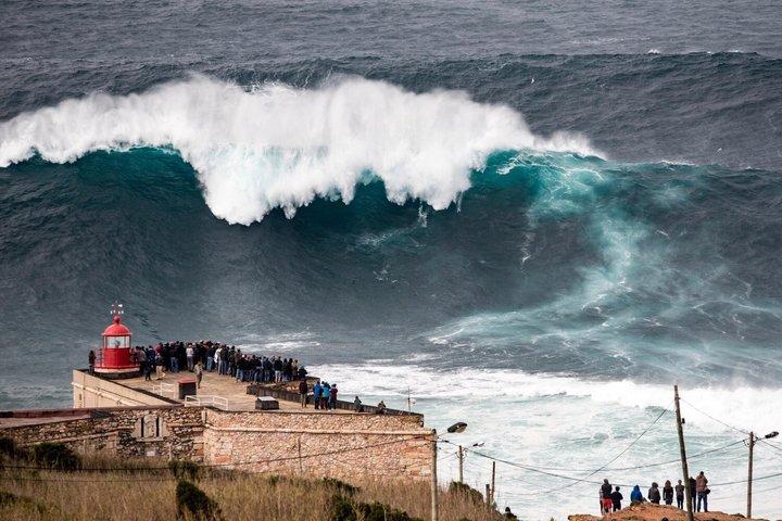 リスボンからポルトへの豪華な転送は、オビドス、コインブラ、アヴェイロを停止