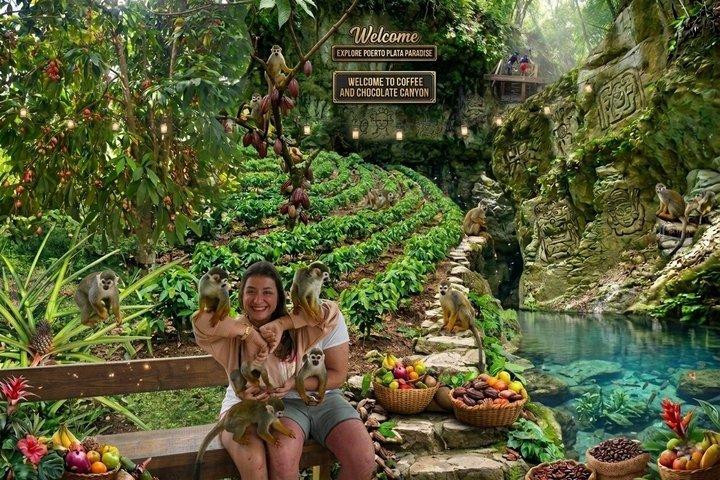 Monkeys, Chocolat and Café økologiske plantage i Puerto Plata