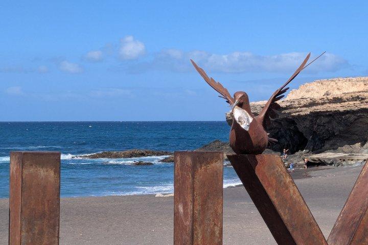 Oplev Fuerteventura-tur