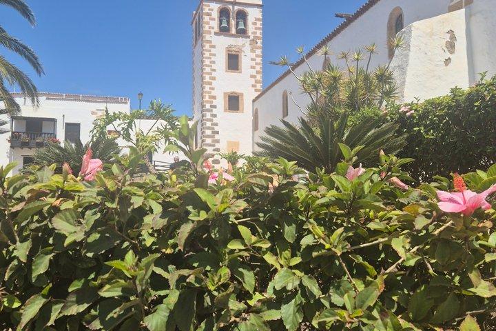 Oplev Fuerteventura-tur