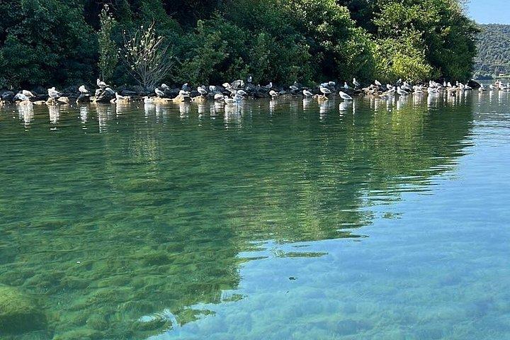 プライベートメルセデス車両でブラッチャーノ湖体験