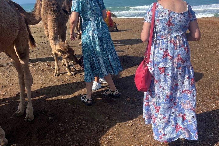マルベージャまたはマラガからのプライベート日帰り旅行（すべて込み）
