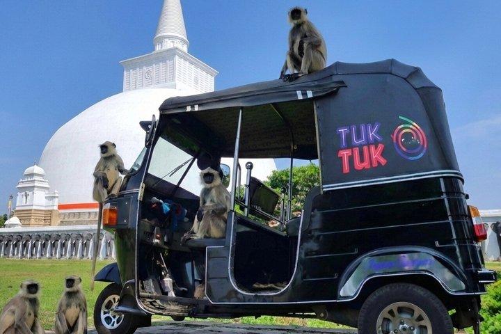 Anuradhapura: Tour Tuk Tuk na Cidade Antiga com Guia Áudio