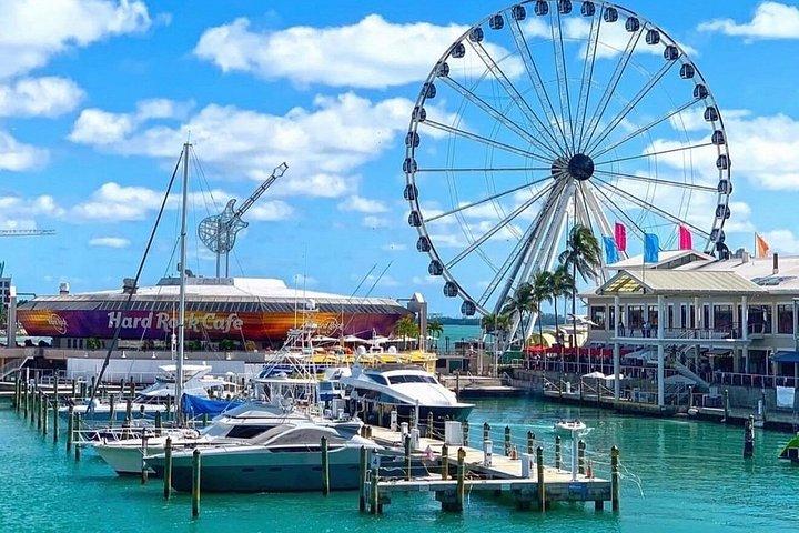 マイアミ：シティツアー、ビスケーン湾クルーズ、エバーグレーズ・エアボート・ライド