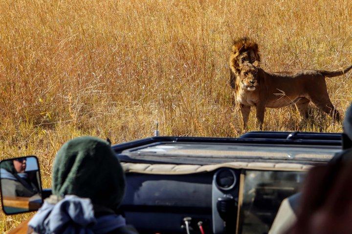 8 Days Moremi - Chobe Mobile Safari with Mukoro