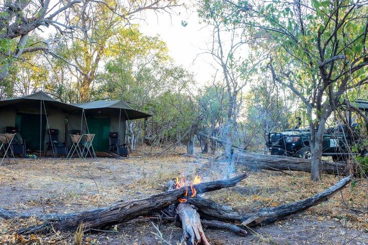 8 jours Moremi - Chobe Mobile Safari avec Mukoro