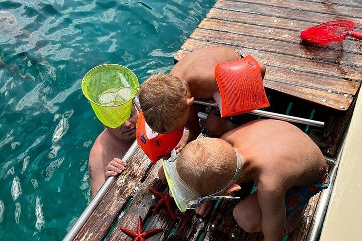 ボートツアー 水泳 シュノーケリング 南イストリア カメンジャク プレマントゥーラ