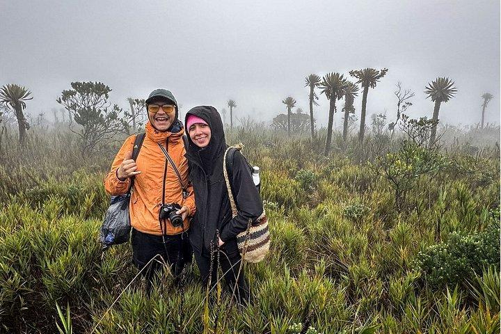 Hiking Chingaza Páramo, Siecha Lagoons
