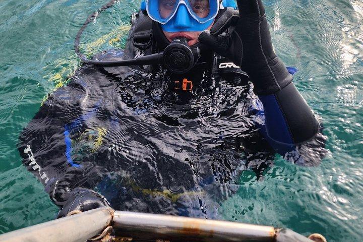 Private Diving Experience with Sea Lions in Punta Loma