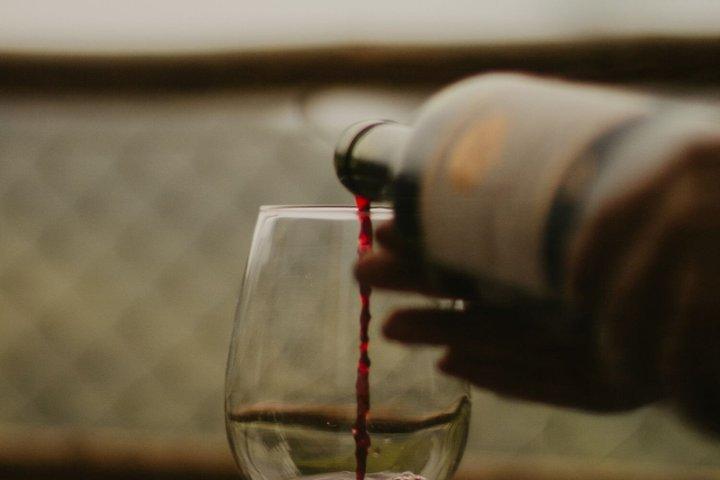 Luxury Winemaker for a Day Experience en Penedès desde Barcelona